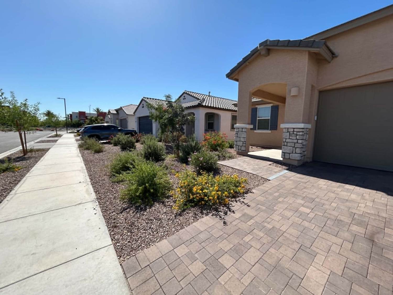Planting beds and shrub upkeep in Buckeye AZ